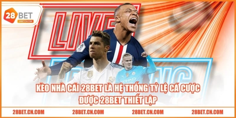 Kèo nhà cái 28BET là hệ thống tỷ lệ cá cược được 28BET thiết lập