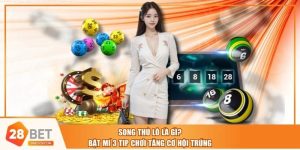 Song Thủ Lô Là Gì? Bật Mí 3 Tip Chơi Tăng Cơ Hội Trúng